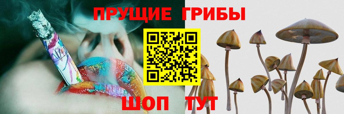 Псилоцибиновые грибы GOLDEN TEACHER Ессентуки